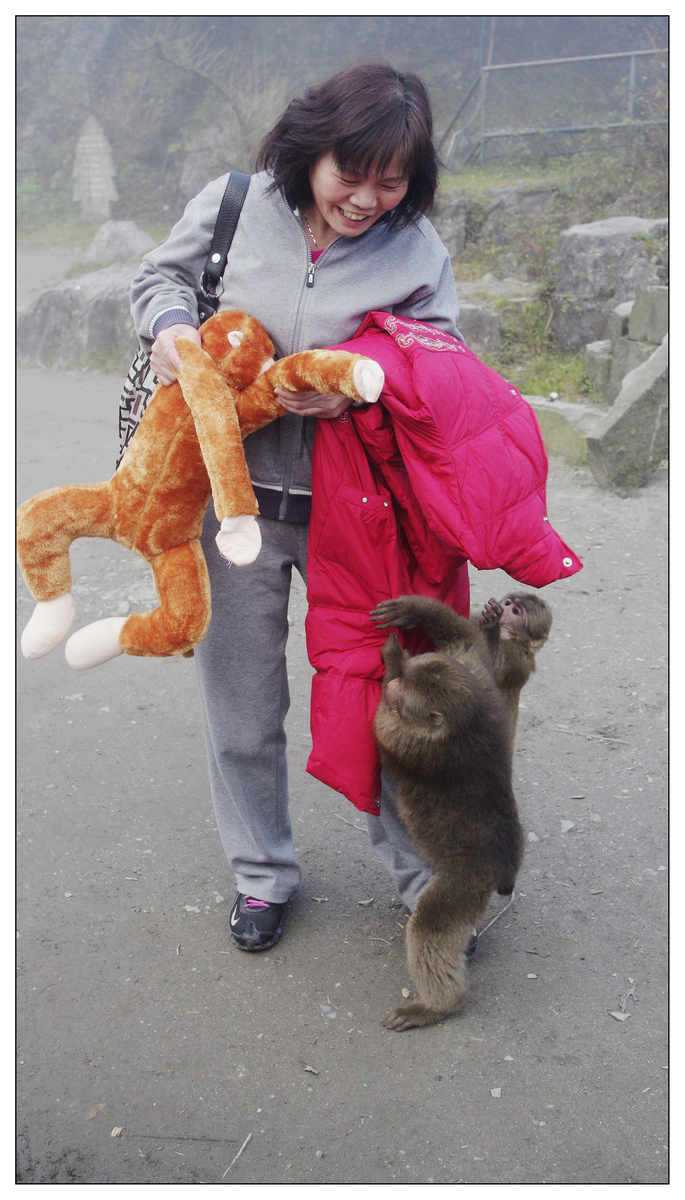2010峨眉山023jpg.jpg