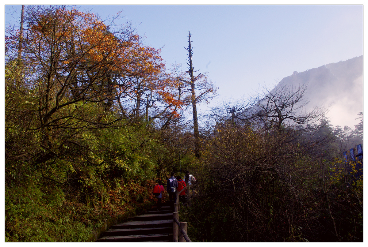 2010峨眉山021jpg.jpg
