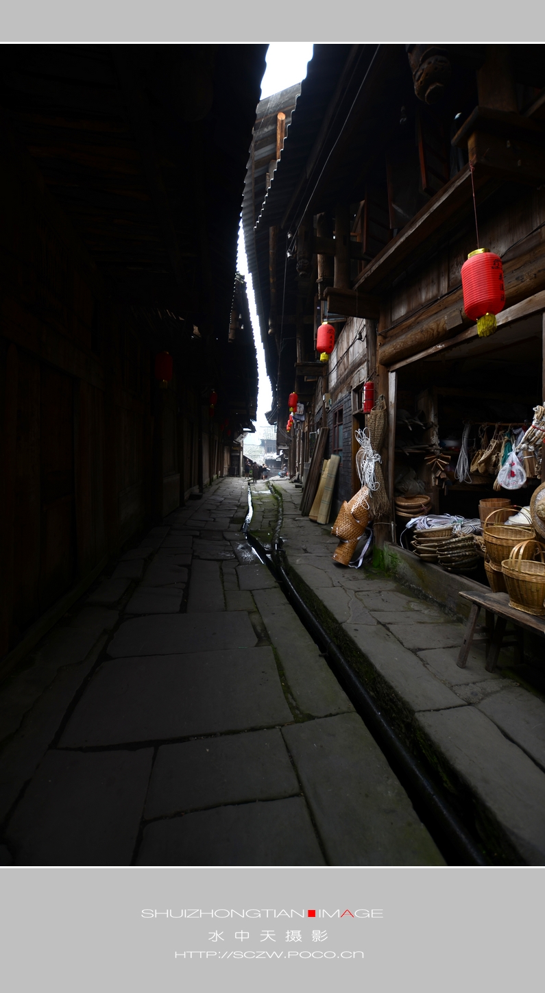 DSC_0866.jpg