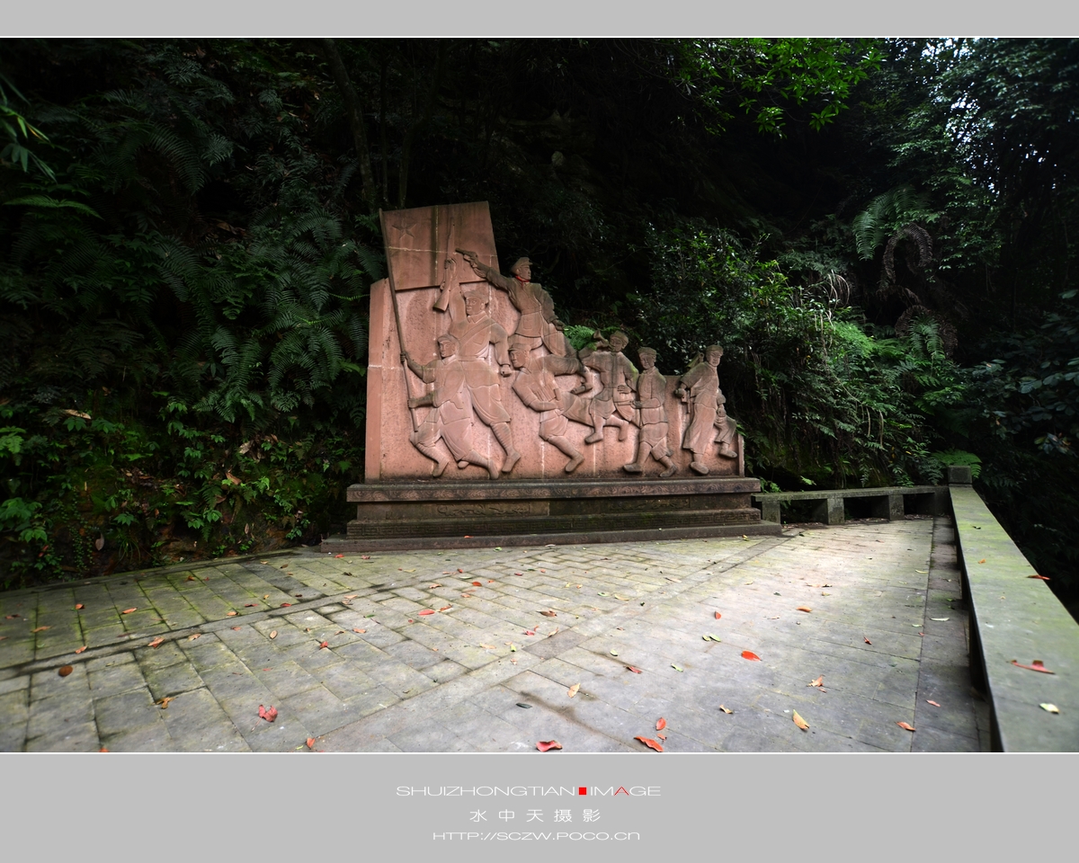 DSC_0915.jpg