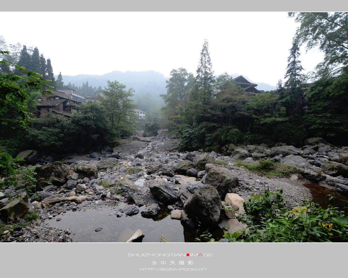 DSC_0921.jpg