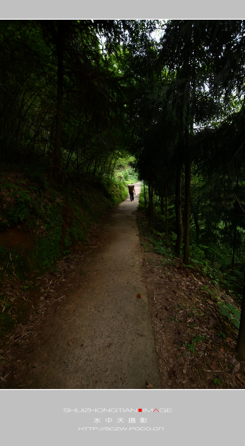 DSC_0934.jpg