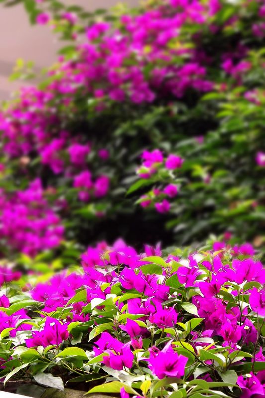 DSCF2864.jpg