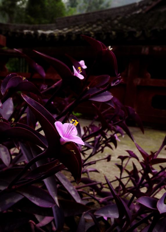 DSCF3152.jpg