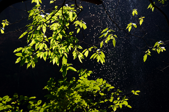 DSC_7082.jpg