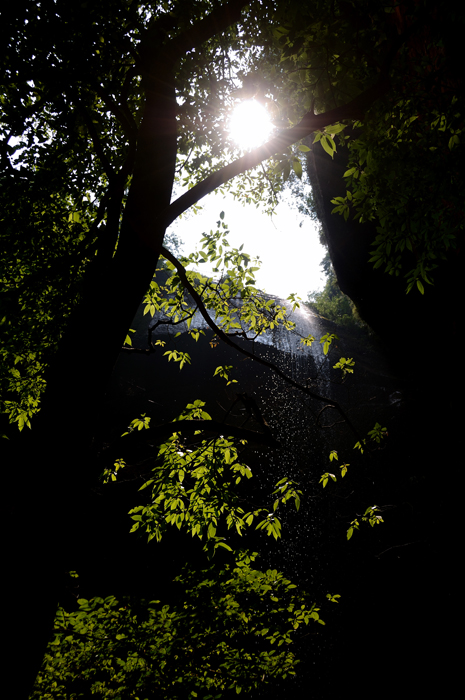 DSC_7081.jpg