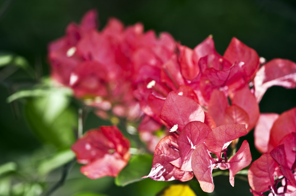 DSC_5764.jpg