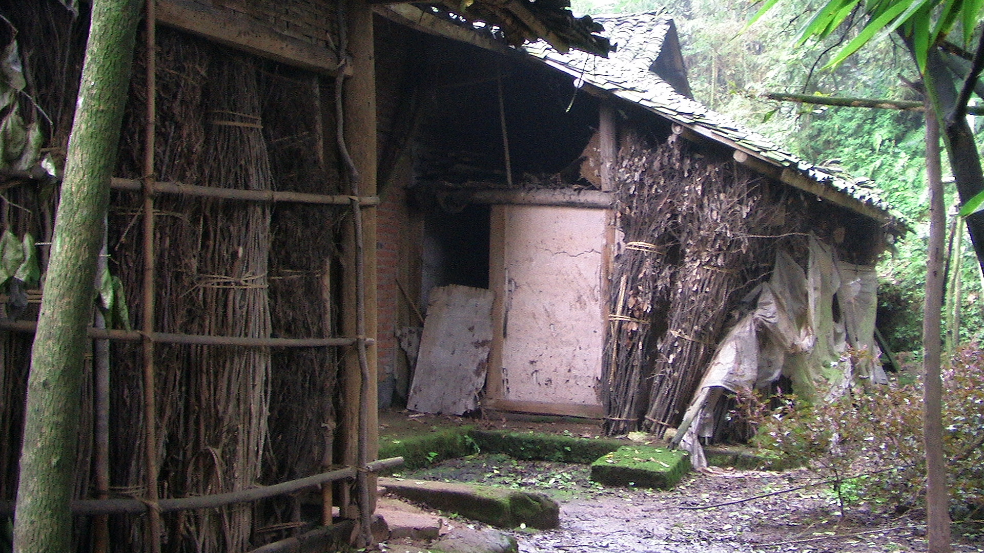 PIC_0925.JPG