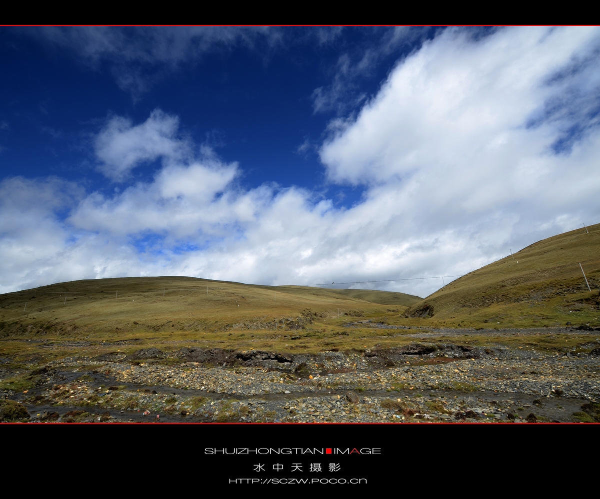 DSC_1498.jpg