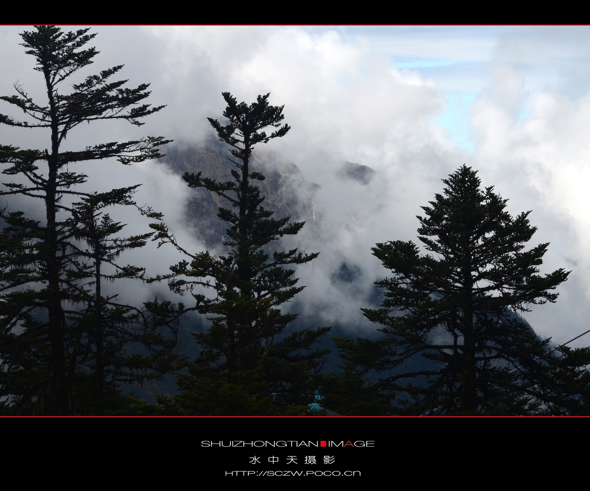 DSC_2142.jpg