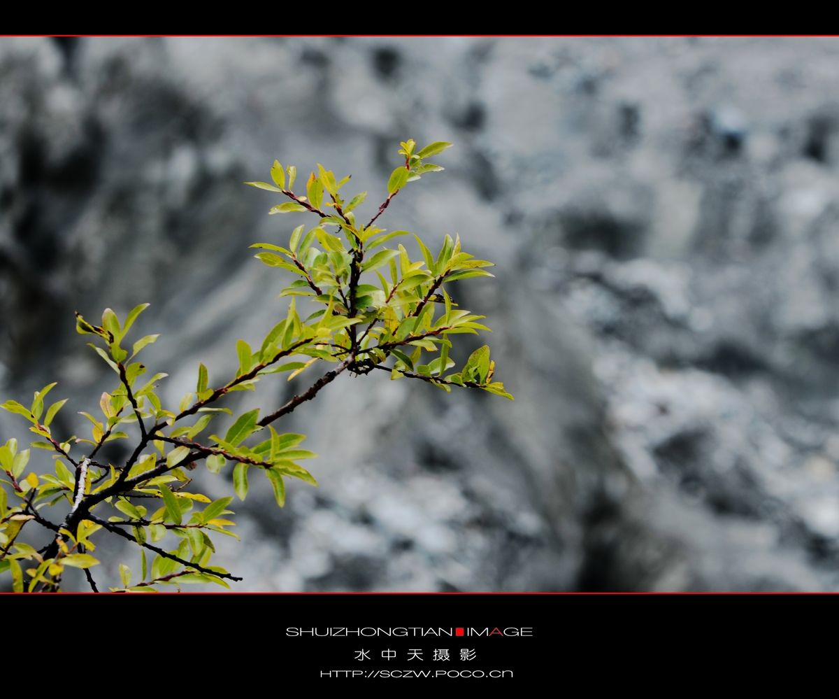 DSC_2229.jpg