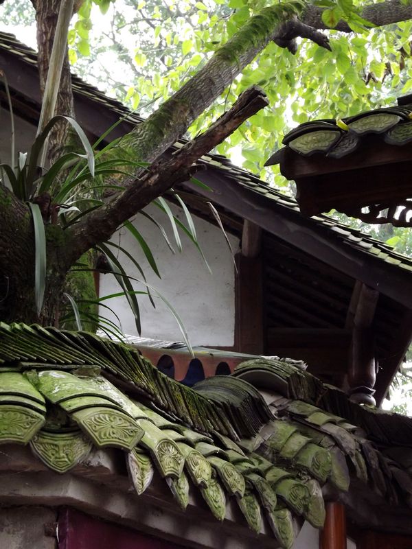 DSCF5456.jpg