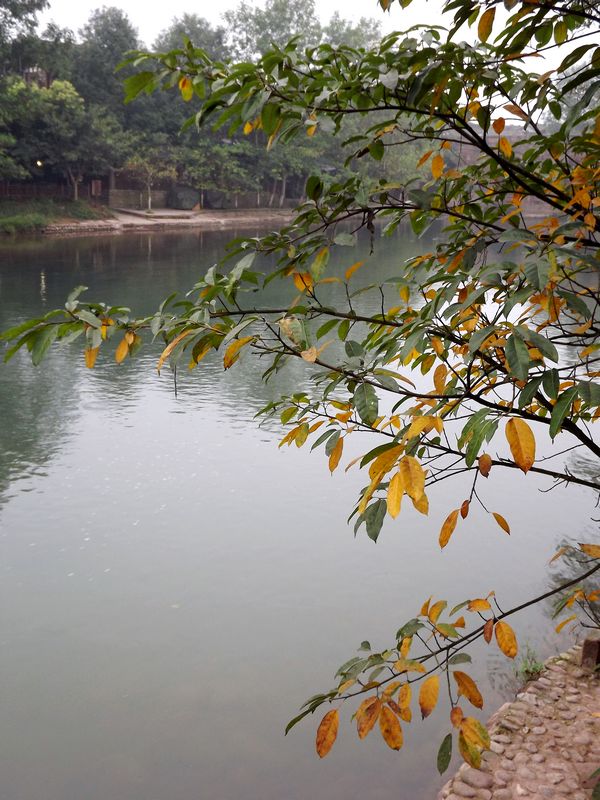 DSCF5606.jpg
