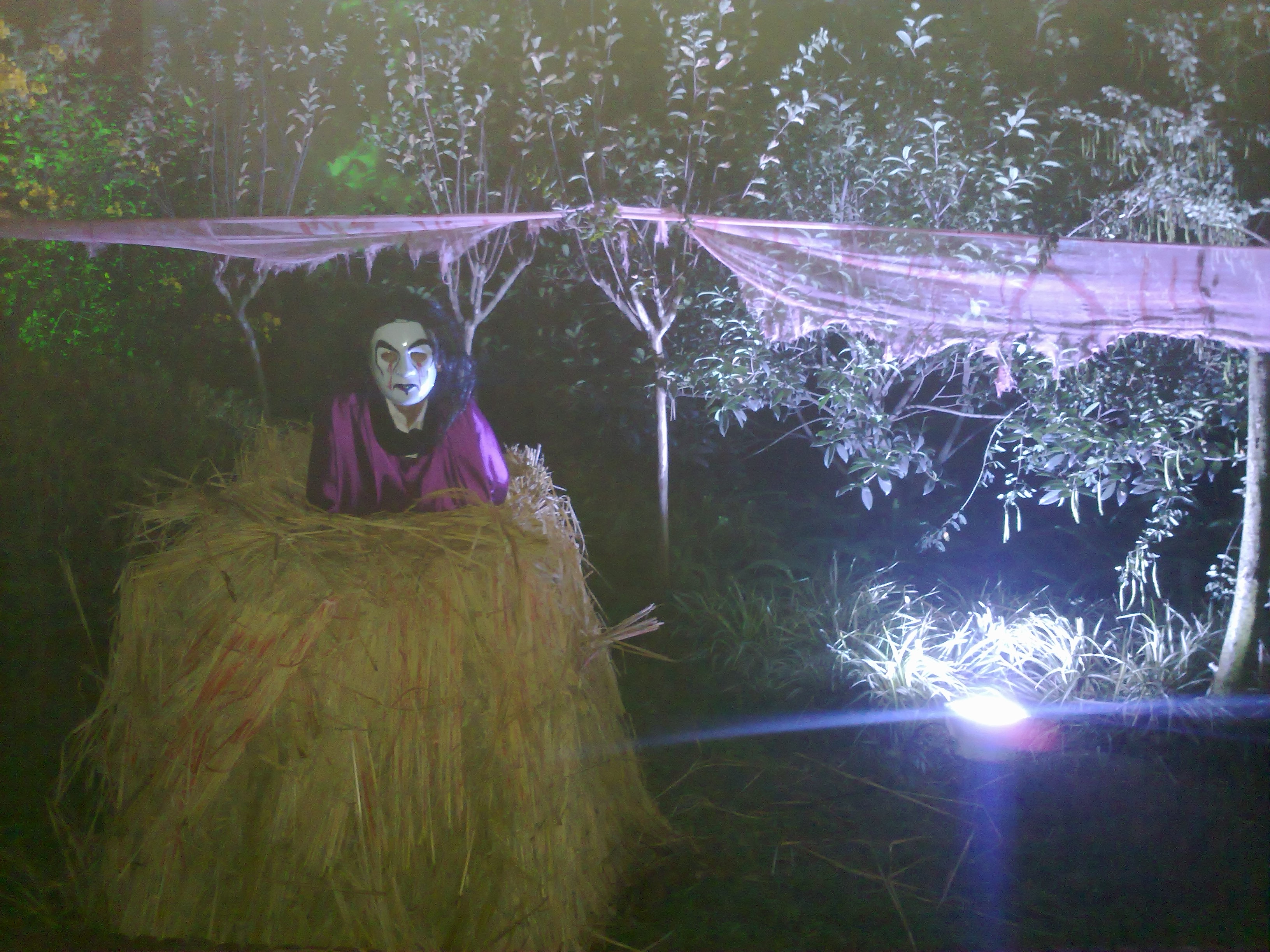 201110222430.jpg