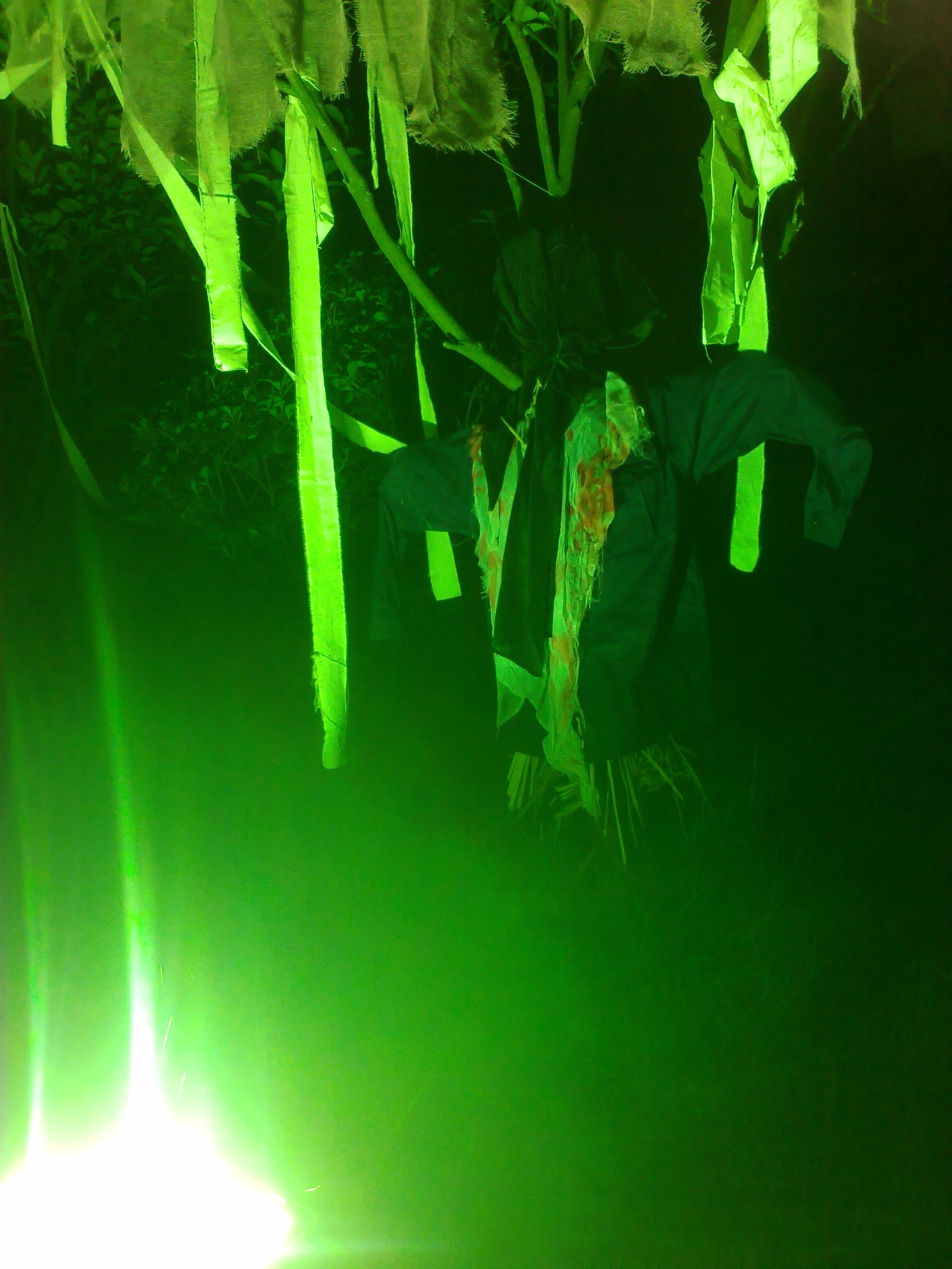201110222431.jpg