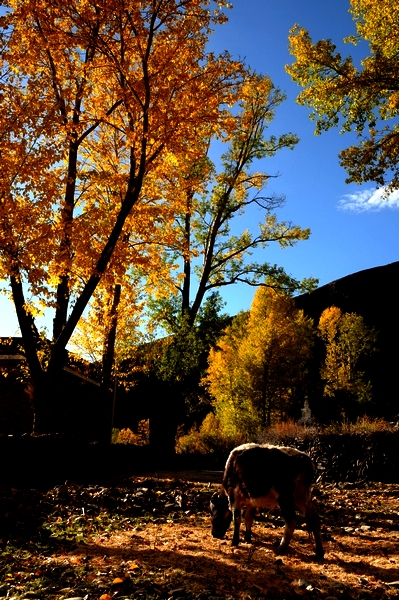 DSC_2094.jpg