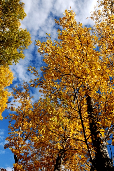 DSC_2100.jpg