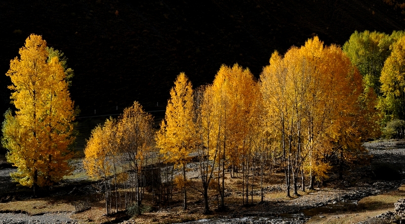 DSC_2110.jpg