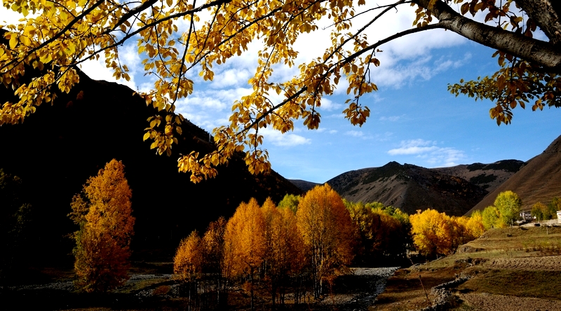 DSC_2114.jpg