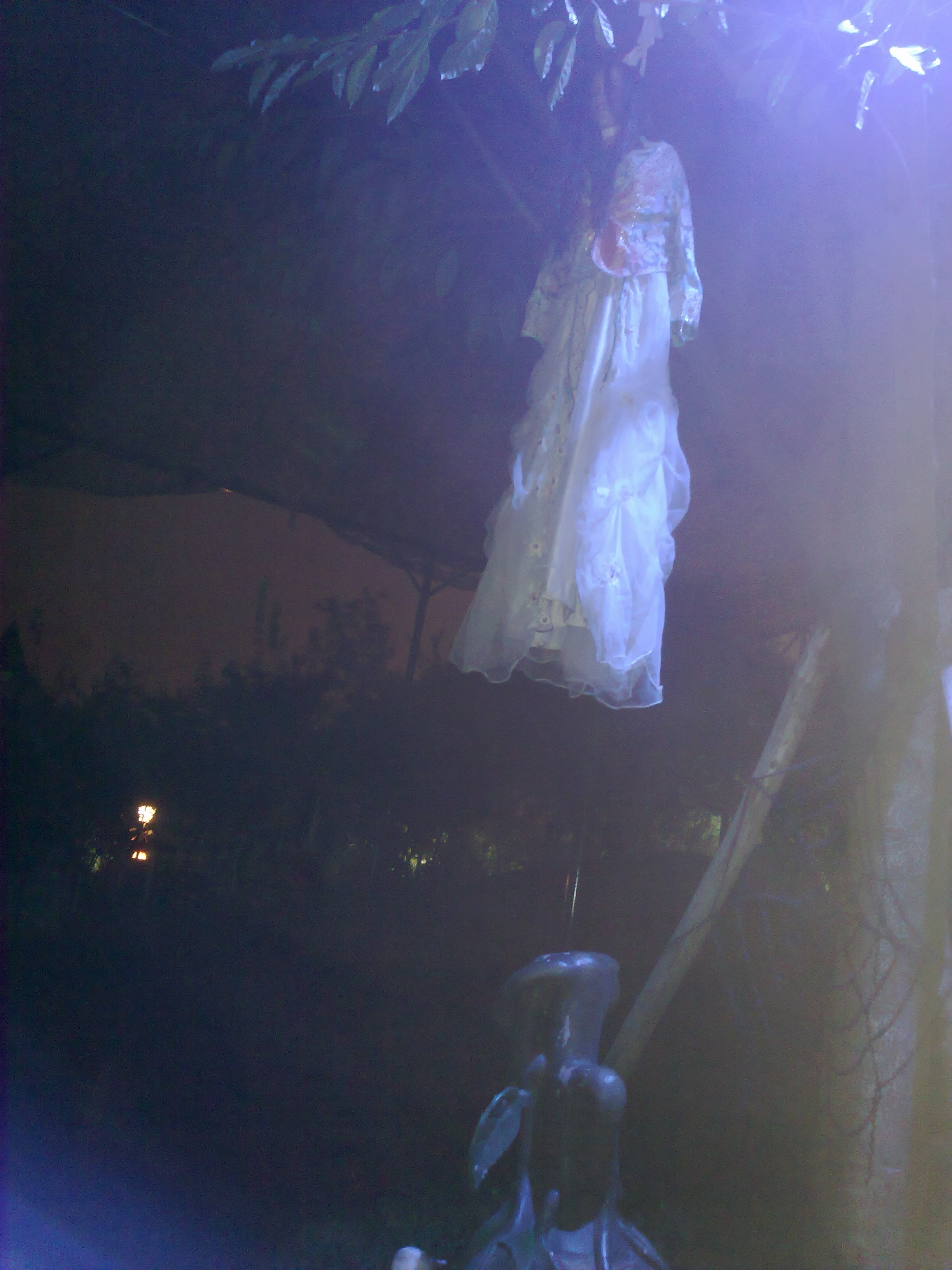 201110222446.jpg