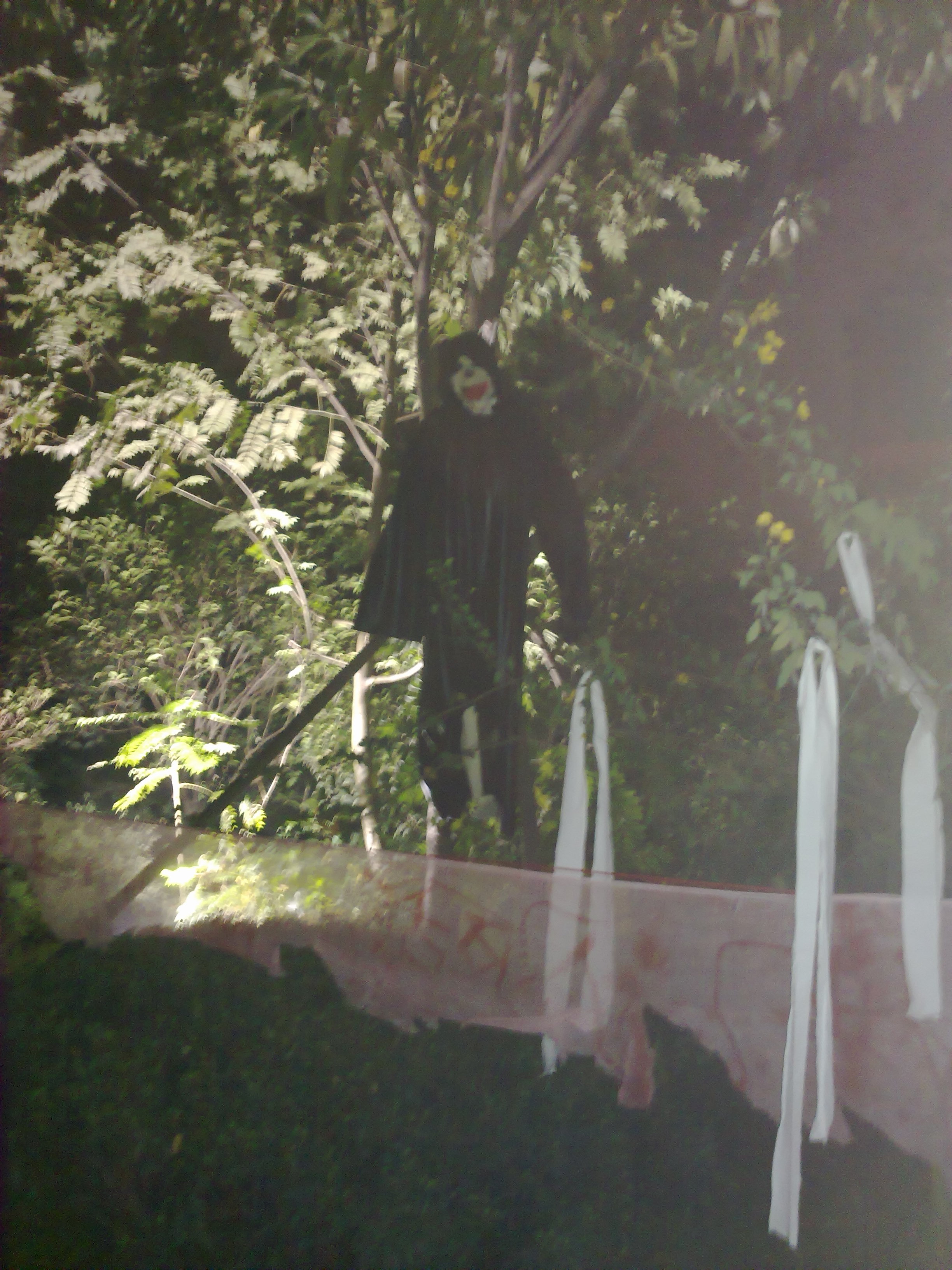 201110222447.jpg
