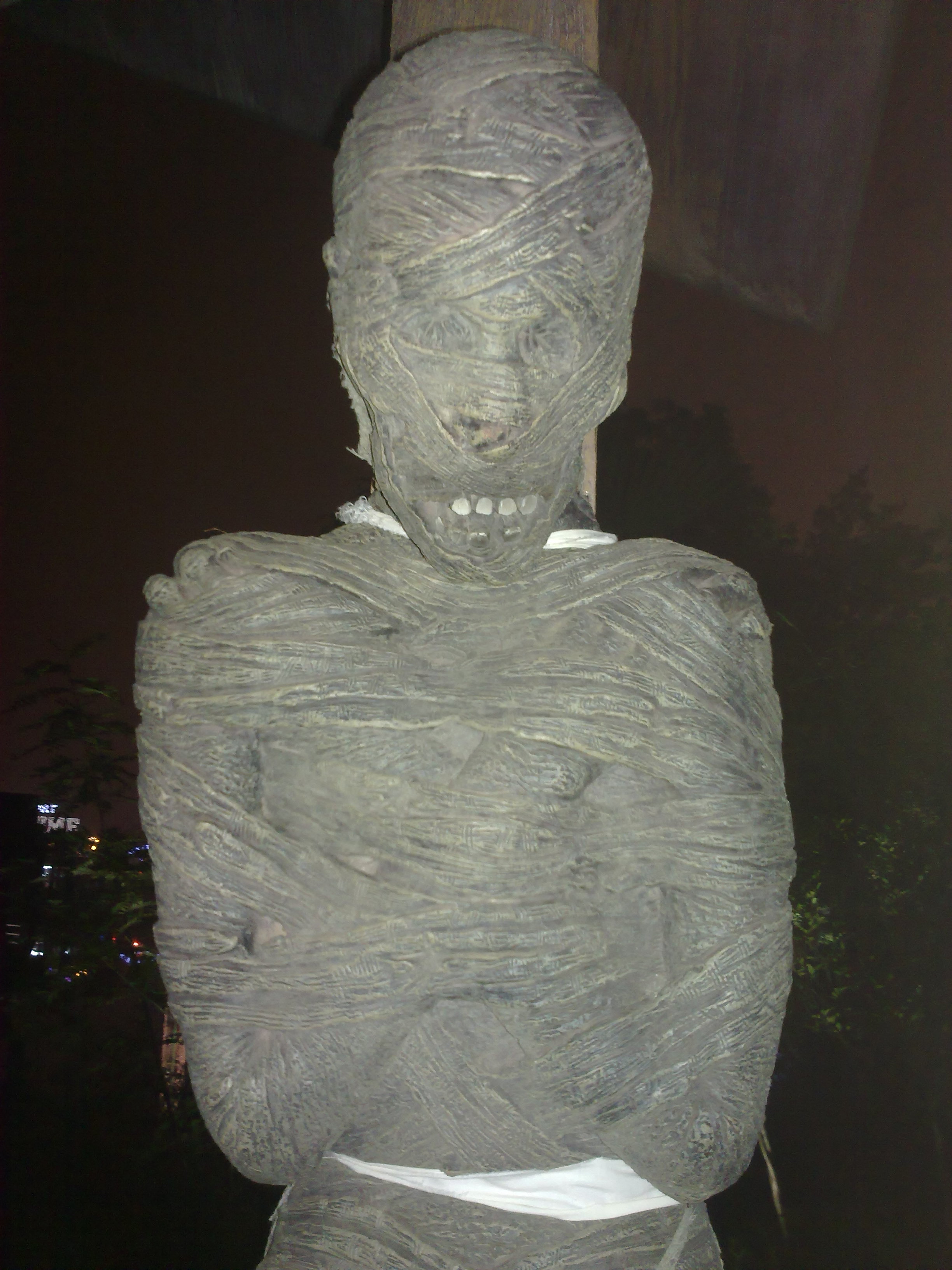 201110222449.jpg