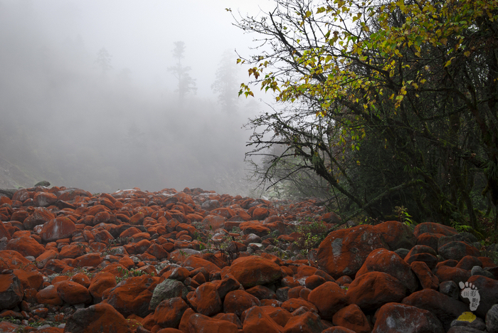 DSC_0257 - 副本.jpg