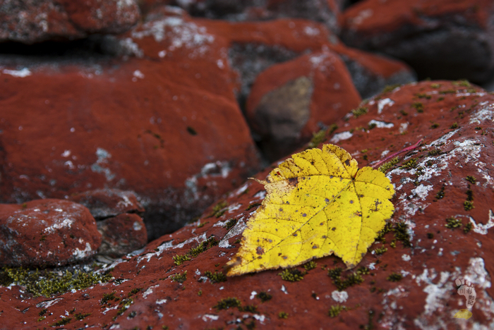 DSC_1216.jpg