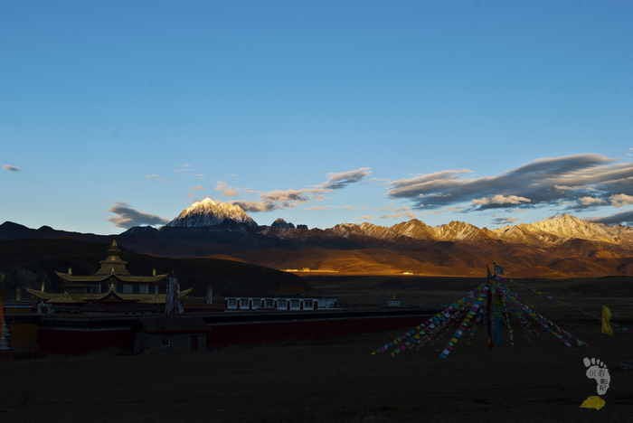 DSC_0480 - 副本.jpg