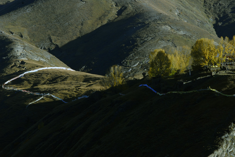 _DSC0606.JPG