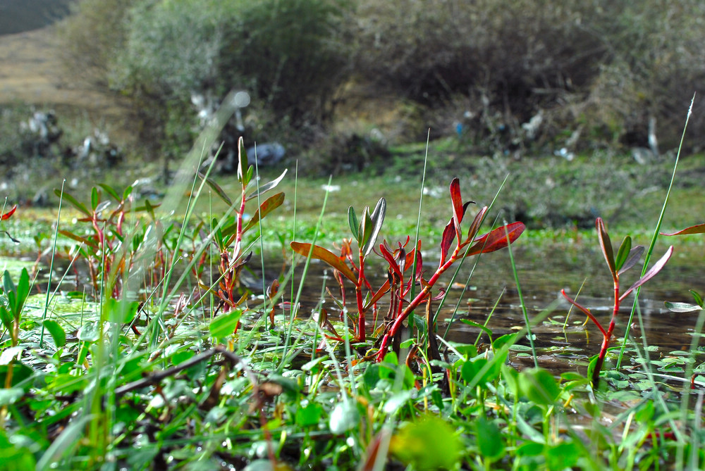 DSC_5378.jpg