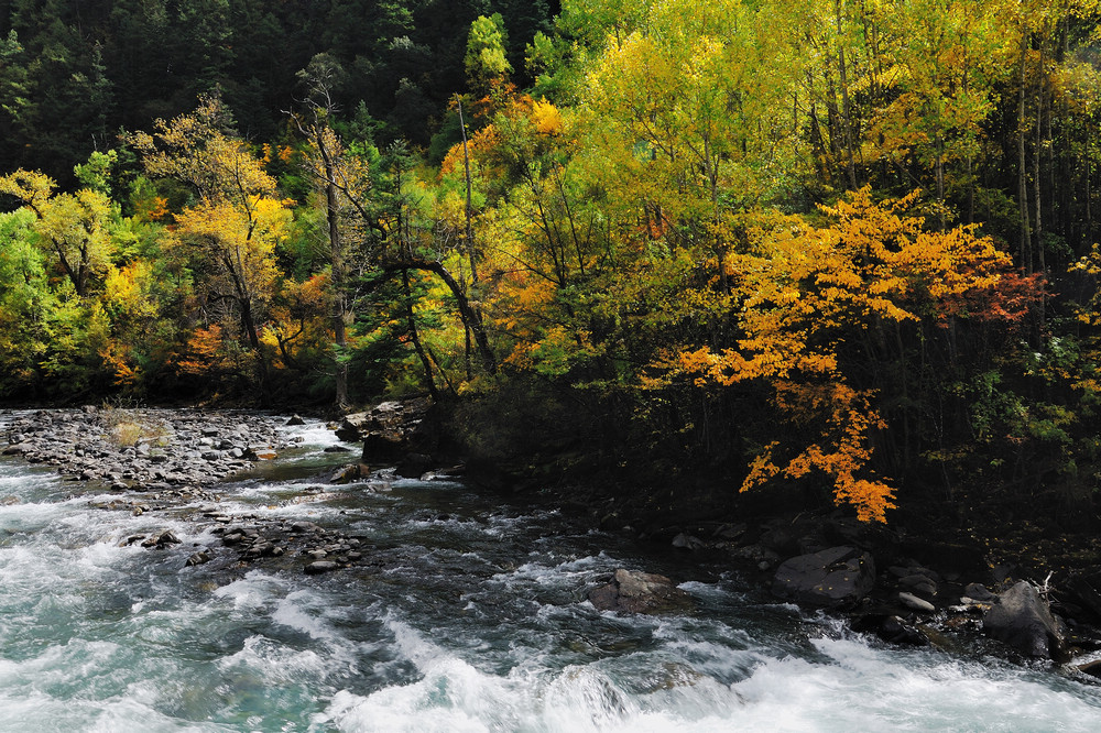 DSC_5407.jpg