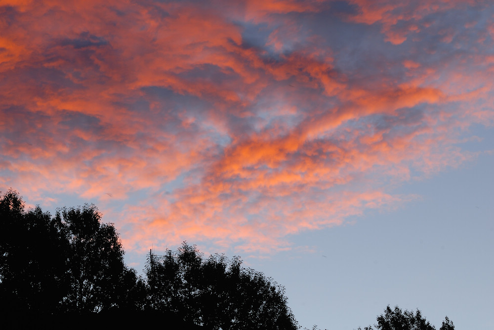 DSC_5548.jpg