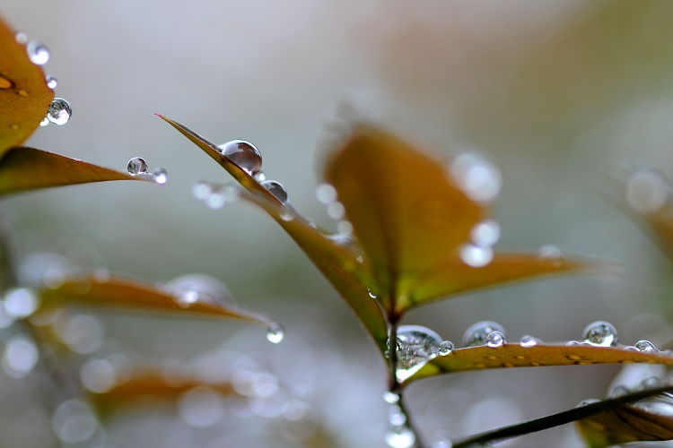 DSC_2256.jpg