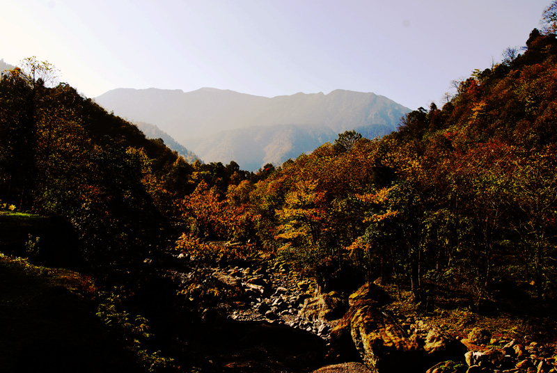 黑竹沟层林尽染.JPG