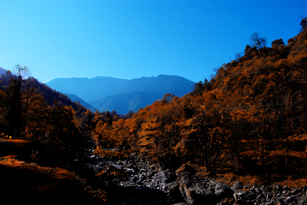 DSC_1445.JPG