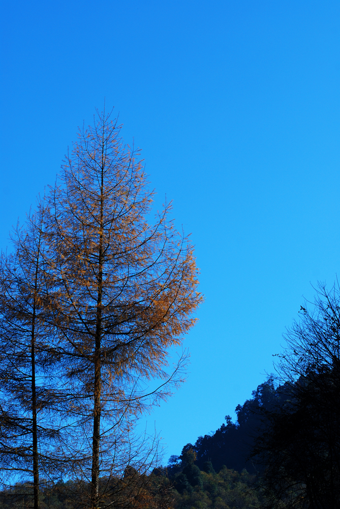 DSC_1455.JPG