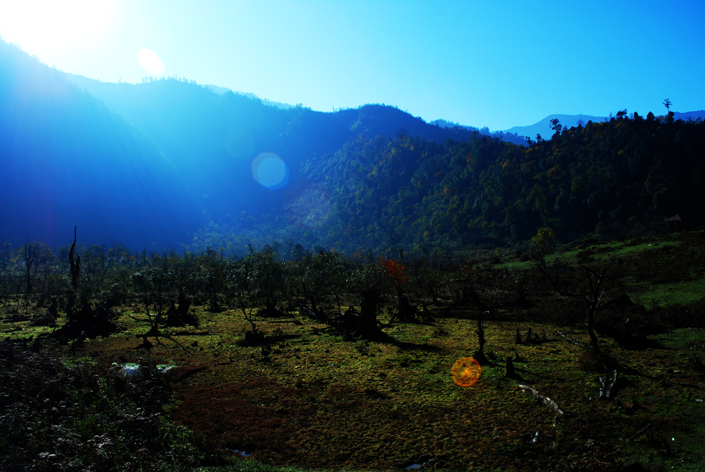 DSC_1506.JPG