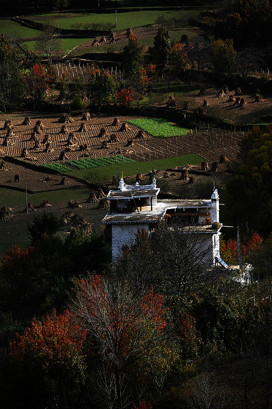 IMG_4788 副本.jpg