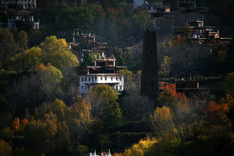 IMG_4805 副本.jpg