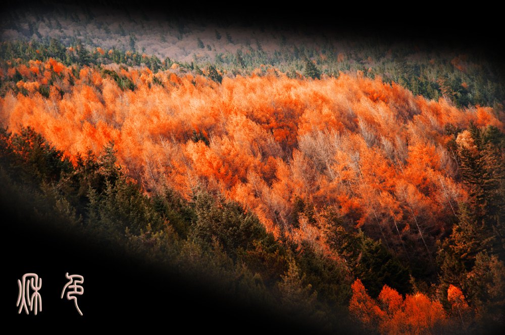 DSC_6237.jpg