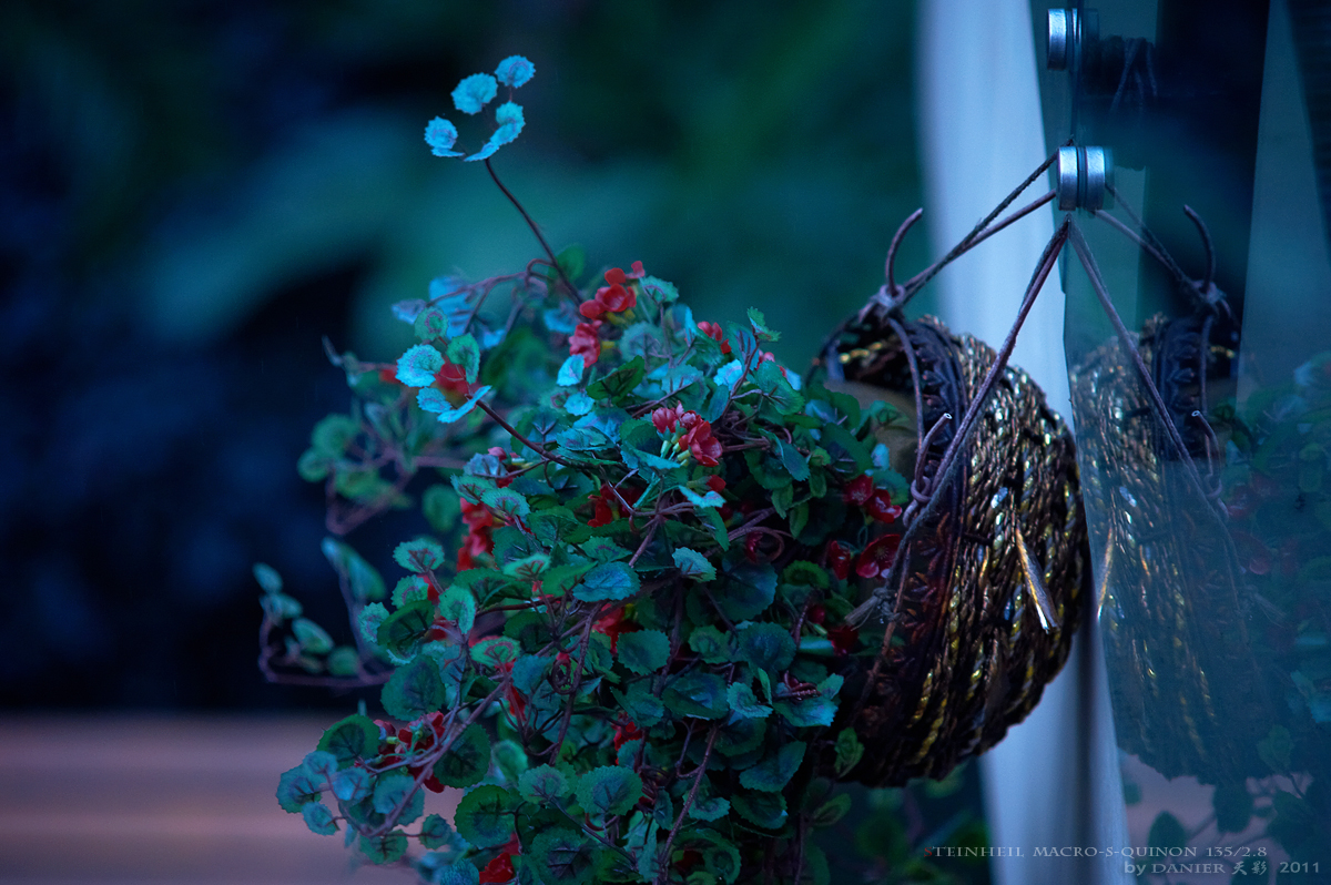 DSC_5461.jpg