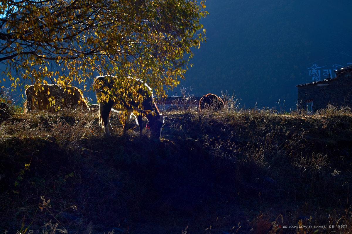 DSC_4968.jpg