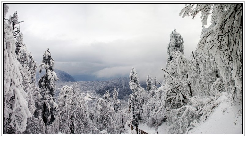 Panorama 3.jpg