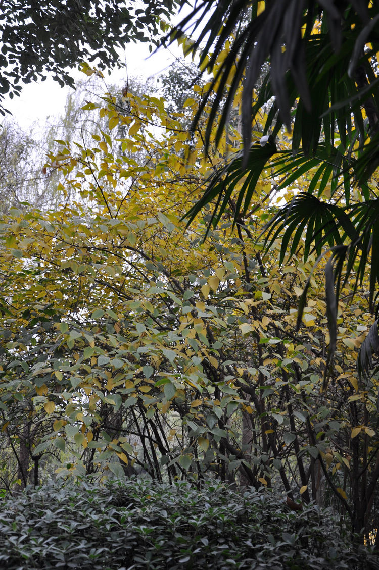 DSC_0006.jpg