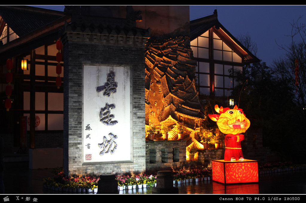 嘉定坊大庙会 (2).jpg