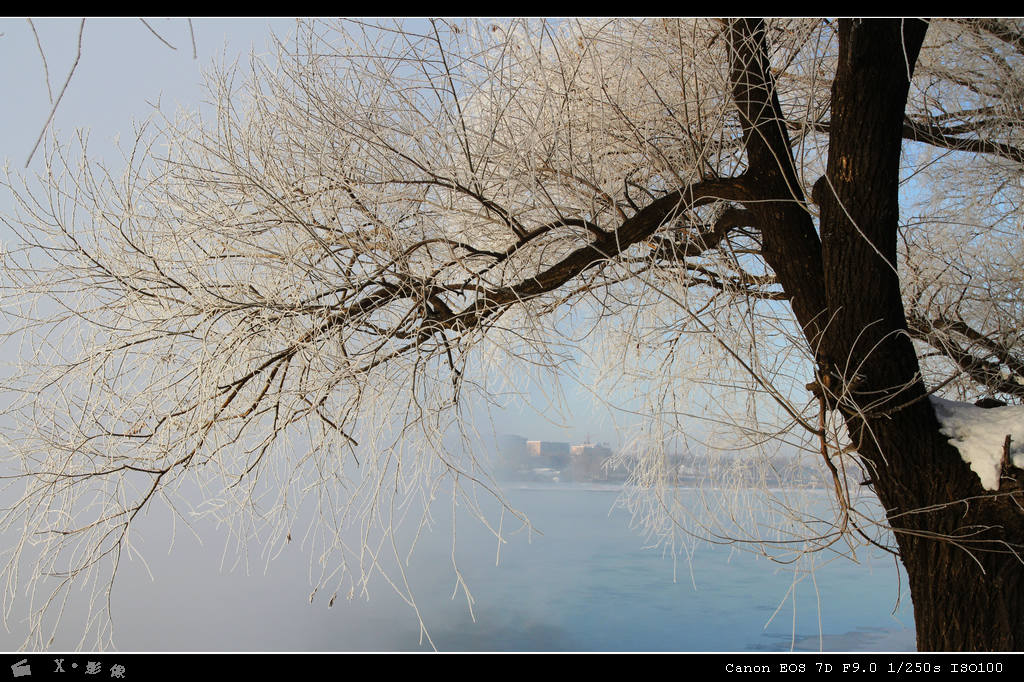 吉林雾淞 (13).jpg