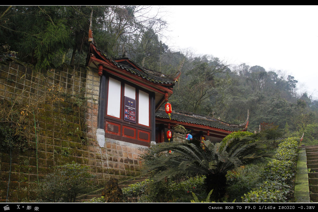 青城山 (6).jpg