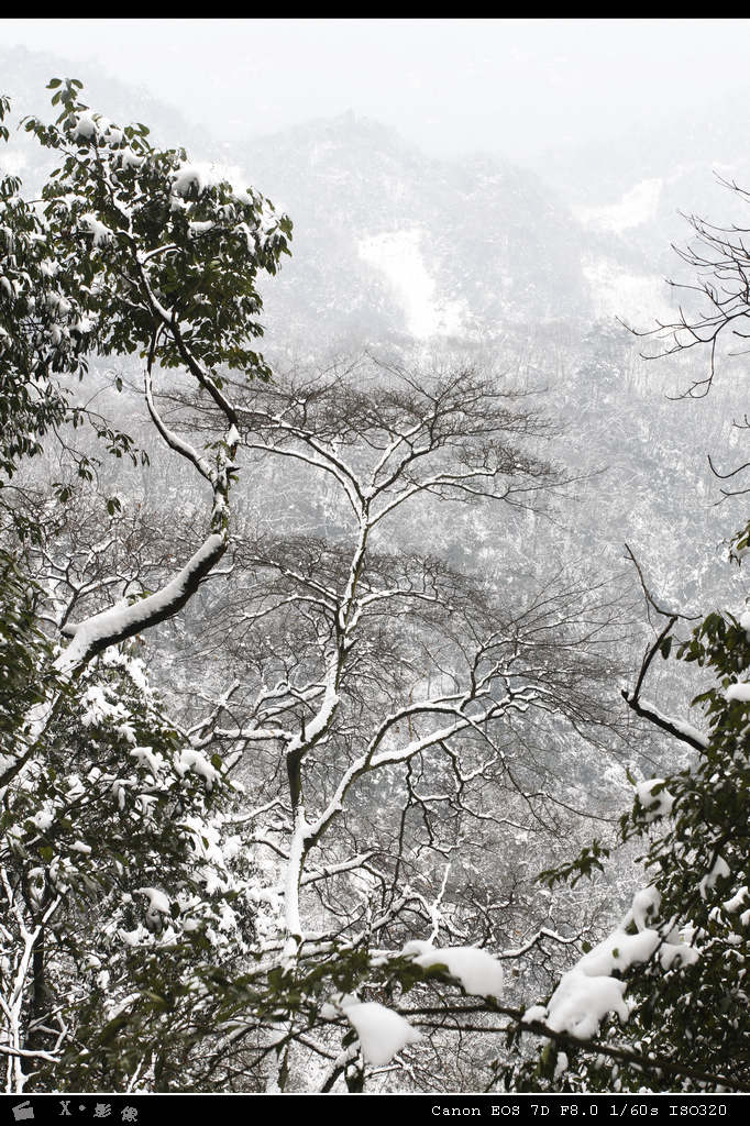 青城山 (13).jpg