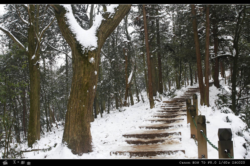 青城山 (14).jpg